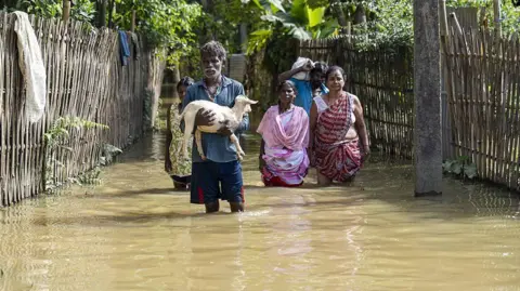 When the house is gone, they still try to save what lives